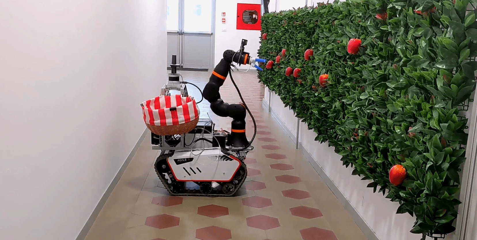Autonomous apple picking with ReBeL robot